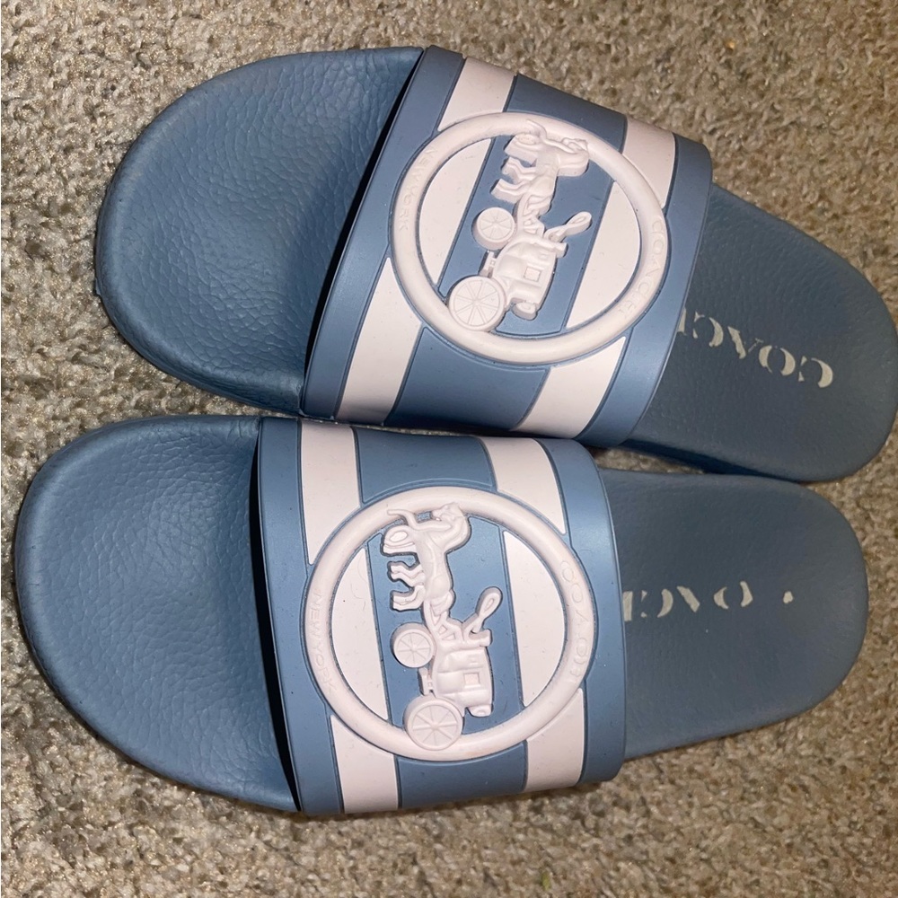 Authentic Coach Slides